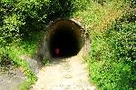 Chłapowo - rezerwat Dolina Chłapowska - przejście tunelem pod drogą