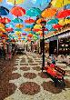 Połczyn Zdrój - magiczna ulica parasoli