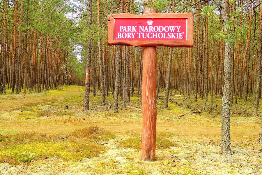Chojnice - Park Narodowy Bory Tucholskie