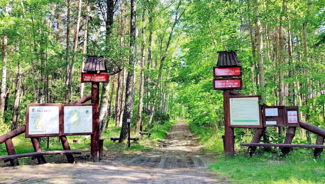 Chojnice - Park Narodowy Bory Tucholskie - Charzykowy - wze szlakw turystycznych