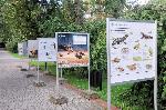 Połczyn Zdrój - Park Zdrojowy - plansze edukacyjne