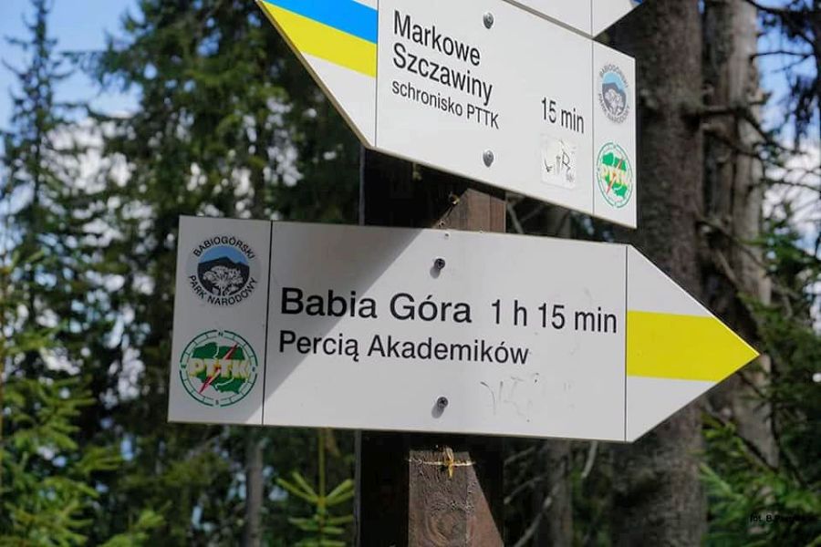 OW Zawojanka - na szlaku w Babiogrskim Parku Narodowym